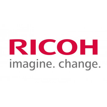 Ricoh B2473340 (B247-3340) plėtros filtras