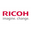 Ricoh D1583890 (D158-3890) elektrodų plokštė atskyrimui
