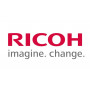 Ricoh D0744302 (D074-4302) paprastojo veleno ritininis guolis, galinis