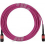 BlueOptics Ubiquiti UACC-OFC-MA-MPMP-0.5M MPO-MPO daugiamodis OM4 šviesolaidinis kabelis 0,5 m