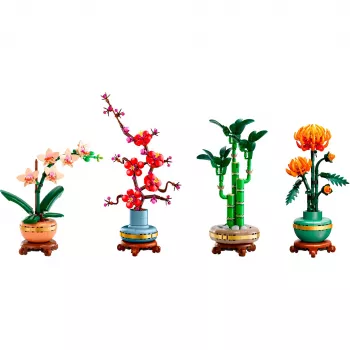 LEGO Botanicals Keturių sezonų rinkinys žolinės arbatos rinkinys, 4 x 50g birių lapų mišiniai, be kofeino, veganiškas, be glitimo