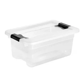 KEEPEER Crystalbox Cornelia 4L permatoma dėžutė su dangteliu, 29,5 x 19,5 x 12,5 cm