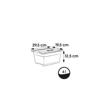 KEEPEER Crystalbox Cornelia 4L permatoma dėžutė su dangteliu, 29,5 x 19,5 x 12,5 cm