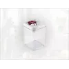 LEIFHEIT Fresh&Easy hermetiškas maisto laikymo indas 1,6L, be BPA, permatomas su žaliu dangteliu