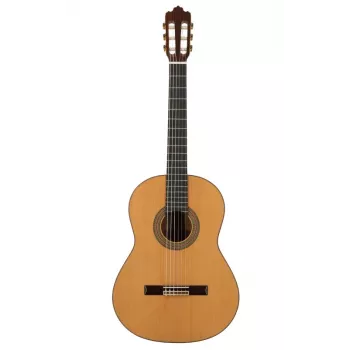 Prodipe Guitars Soloist 900 4/4 - klasikinė gitara