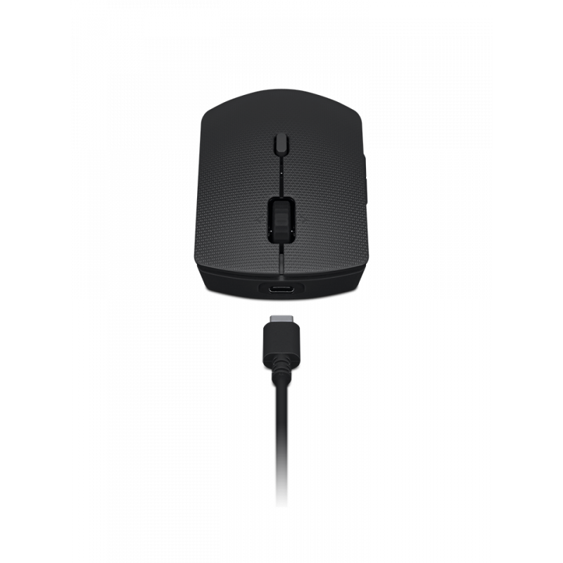 Lenovo Professional belaidė įkraunama klaviatūra ir pelė AI (Nordic, Iron Grey)