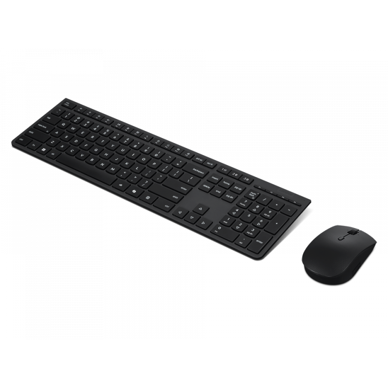 Lenovo Professional belaidė įkraunama klaviatūra ir pelė AI (Nordic, Iron Grey)