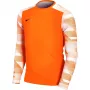 Nike Dry Park IV JSY LS GK Junior vartininko džemperis oranžinis CJ6072 819 XS
