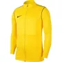 Nike Dry Park 20 marškinėliai su užtrauktuku jaunimui Opti Yellow XS