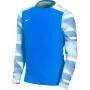 Nike Dry Park IV JSY LS GK Junior vartininko džemperis karališkai mėlynos spalvos CJ6072 463 XL