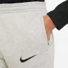 Nike Park 20 Fleece Pants Kids Light Grey CW6909 063