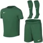 Nike Dri-FIT Park VIII mažylių sportinis komplektas žalias HV8260 302 S dydis