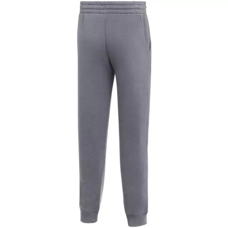 Nike Park 26 flisiniai vaikiški sportiniai šilti IB1252 071 M, pilki
