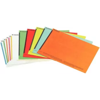 LEITZ Esselte pakabinamų bylų etiketės spintelėms, baltos, 60 x 12 mm, 100 etikečių (326400)