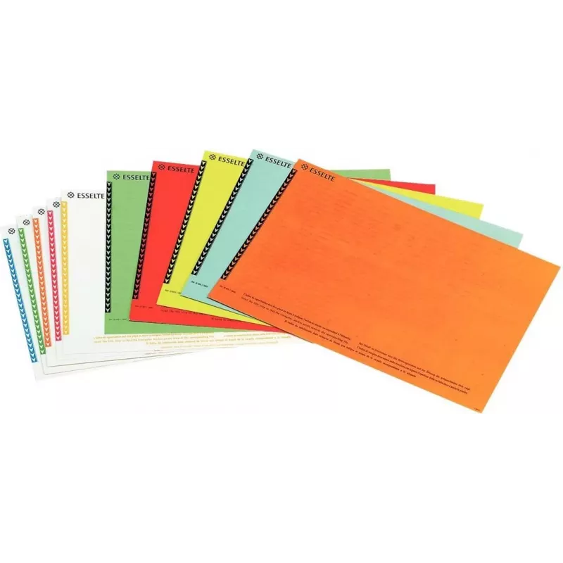 LEITZ Esselte pakabinamų bylų etiketės spintelėms, baltos, 60 x 12 mm, 100 etikečių (326400)