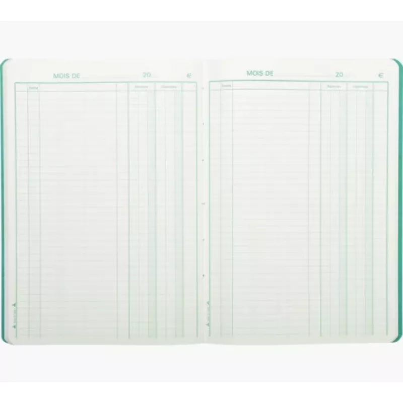 Le Dauphin Piqûre pajamų–išlaidų apskaitos knyga, 297 x 210 mm (3931D) - 1 vnt. (3931D)