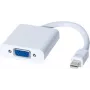 EXERTIS CONNECT adapteris Mini DisplayPort (vyriškas) į VGA (moteriškas) aktyvus 1920x1200 juodas 127433