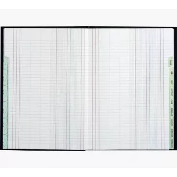 Le Dauphin Schedule Ledger Knyga A4, 96 Puslapiai, 12 Stulpeliai, Žalias Viršelis 39721D