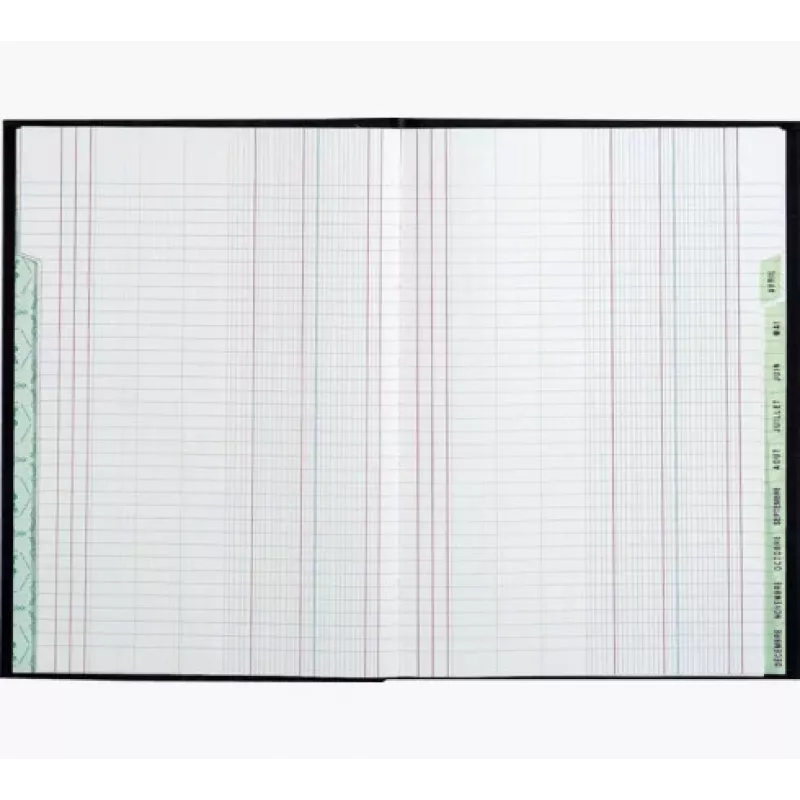 Le Dauphin Schedule Ledger Knyga A4, 96 Puslapiai, 12 Stulpeliai, Žalias Viršelis 39721D