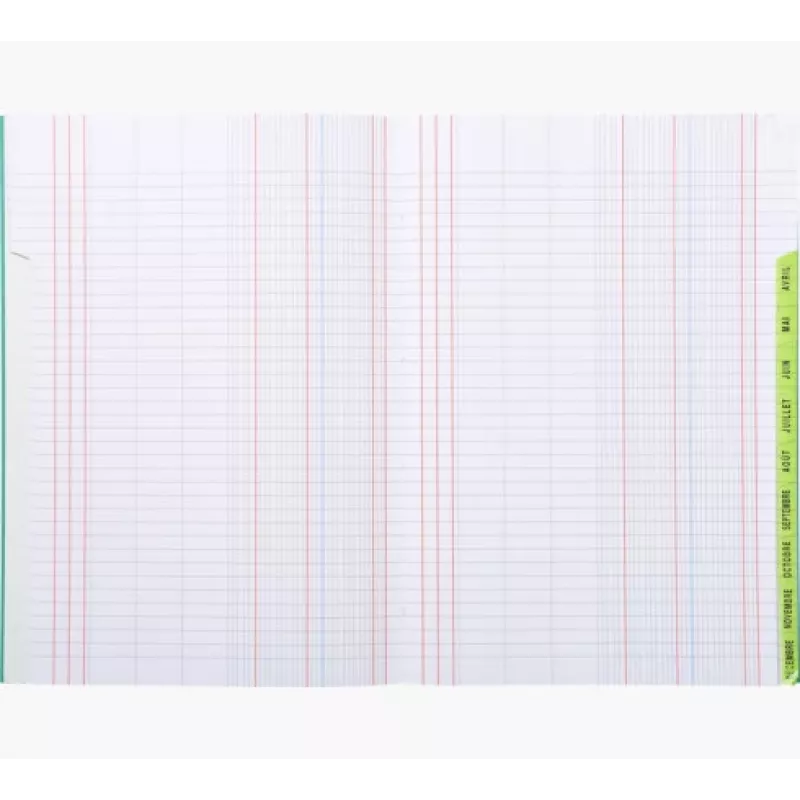 Le Dauphin Schedule Ledger Knyga A4, 96 Puslapiai, 12 Stulpeliai, Žalias Viršelis 39721D