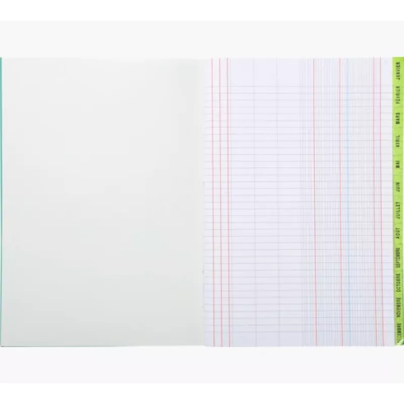 Le Dauphin Schedule Ledger Knyga A4, 96 Puslapiai, 12 Stulpeliai, Žalias Viršelis 39721D