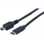 EXERTIS CONNECT USB-C į Mini-USB Type B laidas, 2,0 m, juodas 532451