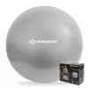 SCHILDKROT gimnastikos kamuolys 65 cm, sidabrinis, anti-burst 960156