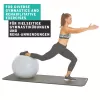 SCHILDKROT gimnastikos kamuolys 65 cm, sidabrinis, anti-burst 960156