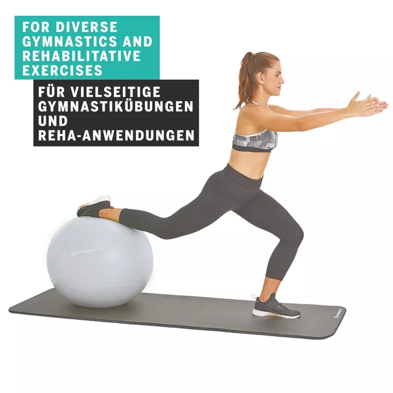 SCHILDKROT gimnastikos kamuolys 65 cm, sidabrinis, anti-burst 960156
