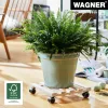 Wagner design yourself augalų vežimėlis GH 0438, kvadratinis, masyvo buko mediena, 34 x 34 x 8 cm, 4 pasukamosios ratukų poros, 100 kg apkrova, natūralus, pritaikomas 20043801