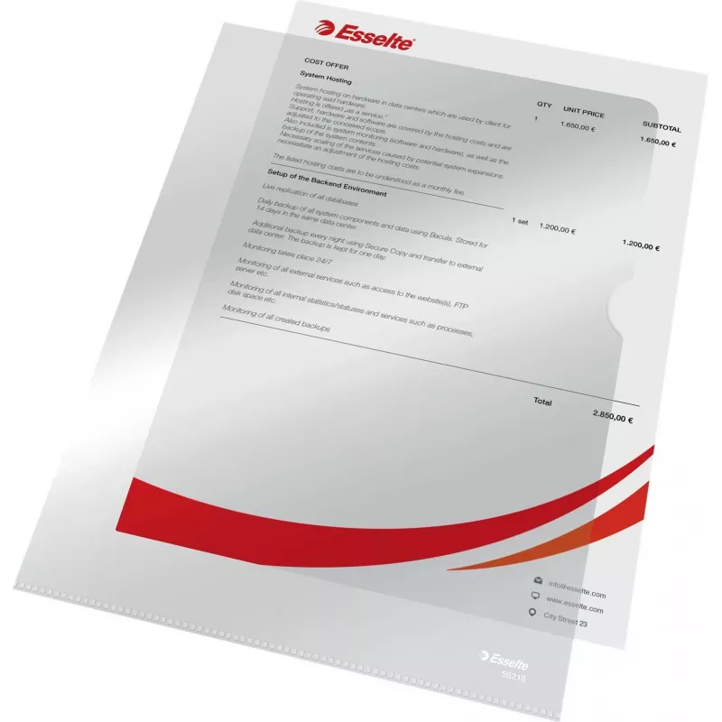 LEITZ Esselte Standard Plus A4 dokumentų kišenės, 100 vnt., permatomos, polipropilenas 56218