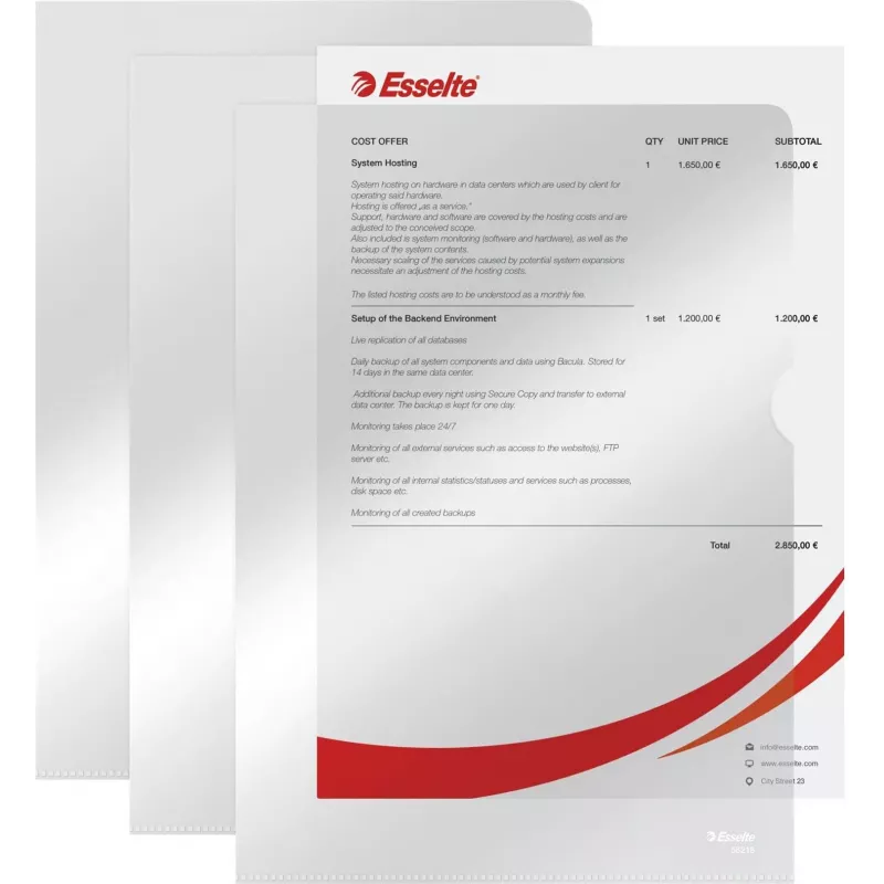 LEITZ Esselte Standard Plus A4 dokumentų kišenės, 100 vnt., permatomos, polipropilenas 56218
