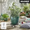 WAGNER design yourself augalų volelis GH0558 plastikinis, Ø 38,5 cm, tamsiai žalias, apvalus, 1 vnt. 20055801