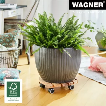 WAGNER Multiroller ERLE soft rund Ø34cm augalų vežimėlis, masyvaus alksnio medienos, 100 kg, 3 sukamosios ratukai, apsaugantys grindis 20026201