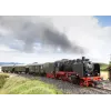 Märklin BR 24 garvežys 36244
