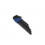 Brüder Mannesmann M 299 7 dalių L formos šešiabriaunių raktų rinkinys, chromo vanadžio plienas, metriniai 2,5-10 mm, DIN 911, satino chromu padengtas, su plastikiniu laikikliu