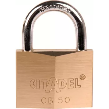 ABUS 60mm kieto žalvario spynos su grūdinto plieno lankeliu, 2 raktai (238420)