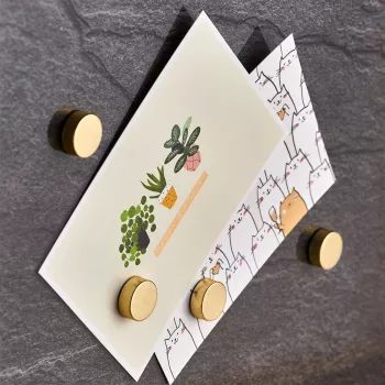 Zeller 4 auksiniai diskiniai magnetai 23 x 9 mm (11234)