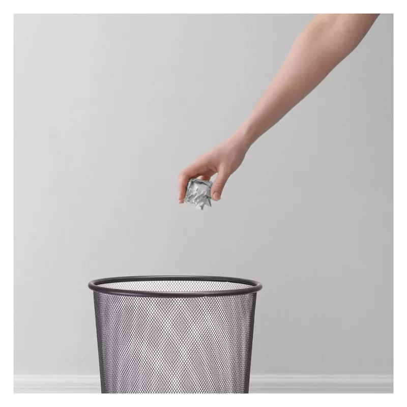 Zeller Meshline šiukšliadėžė 17,5 l antracito spalvos (17741)