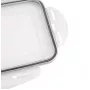 APS Ice Cube Box su dangteliu, permatomas/pilkas, rinkinys iš 2, polipropilenas, tinka plauti indaplovėje 36103