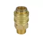 Einhell greito sujungimo mova R 3/8 inch išorinis sriegis, skirta oro kompresoriaus priedams, 4139208