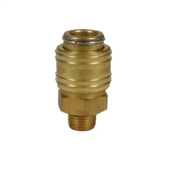 Einhell greitasis sujungimas R1/4 išorinis sriegis kompresoriaus priedas 4139207