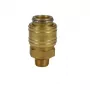 Einhell greitasis sujungimas R1/4 išorinis sriegis kompresoriaus priedas 4139207