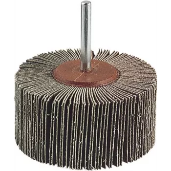 Wolfcraft 2037000 skiautinis šlifavimo diskas 20 mm skersmens, 6 mm kotu, P80 grūdėtumo, 25 000 RPM