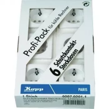 HEINRICH KOPP Paris Schuko lizdo įdėklas poliarinės baltos spalvos 920702011