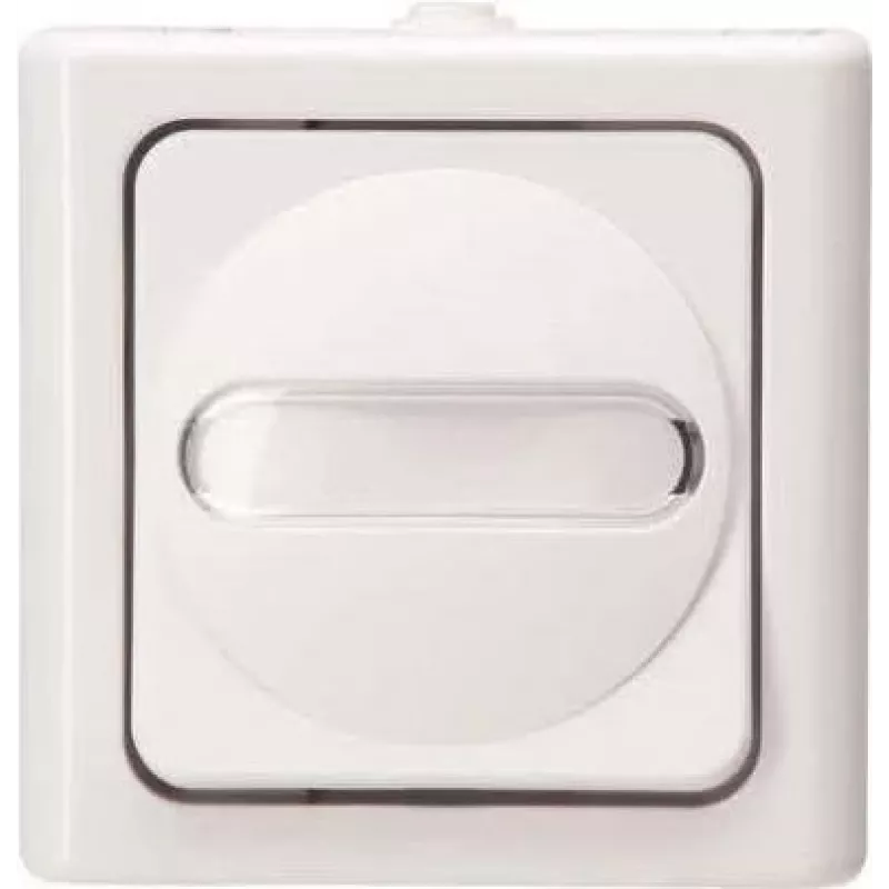 HEINRICH KOPP Universal Switch BLUE ELECTRIC arktis, paviršinis, drėgnoms patalpoms, 10A, 250V (560602007)
