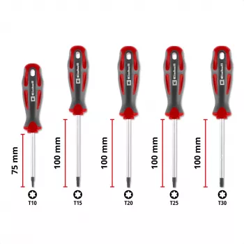 Einhell Universal Torx atsuktuvų rinkinys T10-T30, 5 vienetai, magnetiniai antgaliai, chromo vanadžio plienas, ergonomiškos dvikomponentės rankenos, dirbtuvėms ir namų meistrams 370537