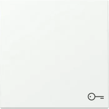 Gira System 55 svirtelės dangtelis su durų simboliu, Pure White Silk Matte 328727