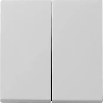 Gira System 55 2-jų grupių rokerio jungiklio dangtelis, pilkas 0295015