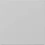Gira System 55 Straight Grey Matt dangtelis 3496015